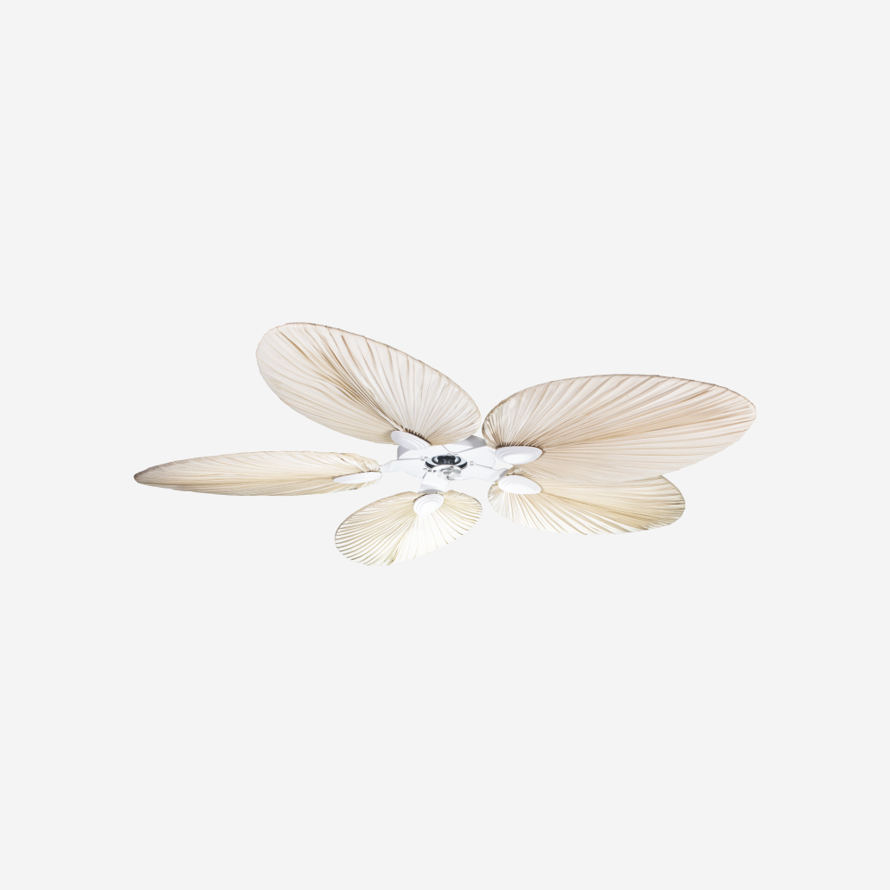 PalmWI132