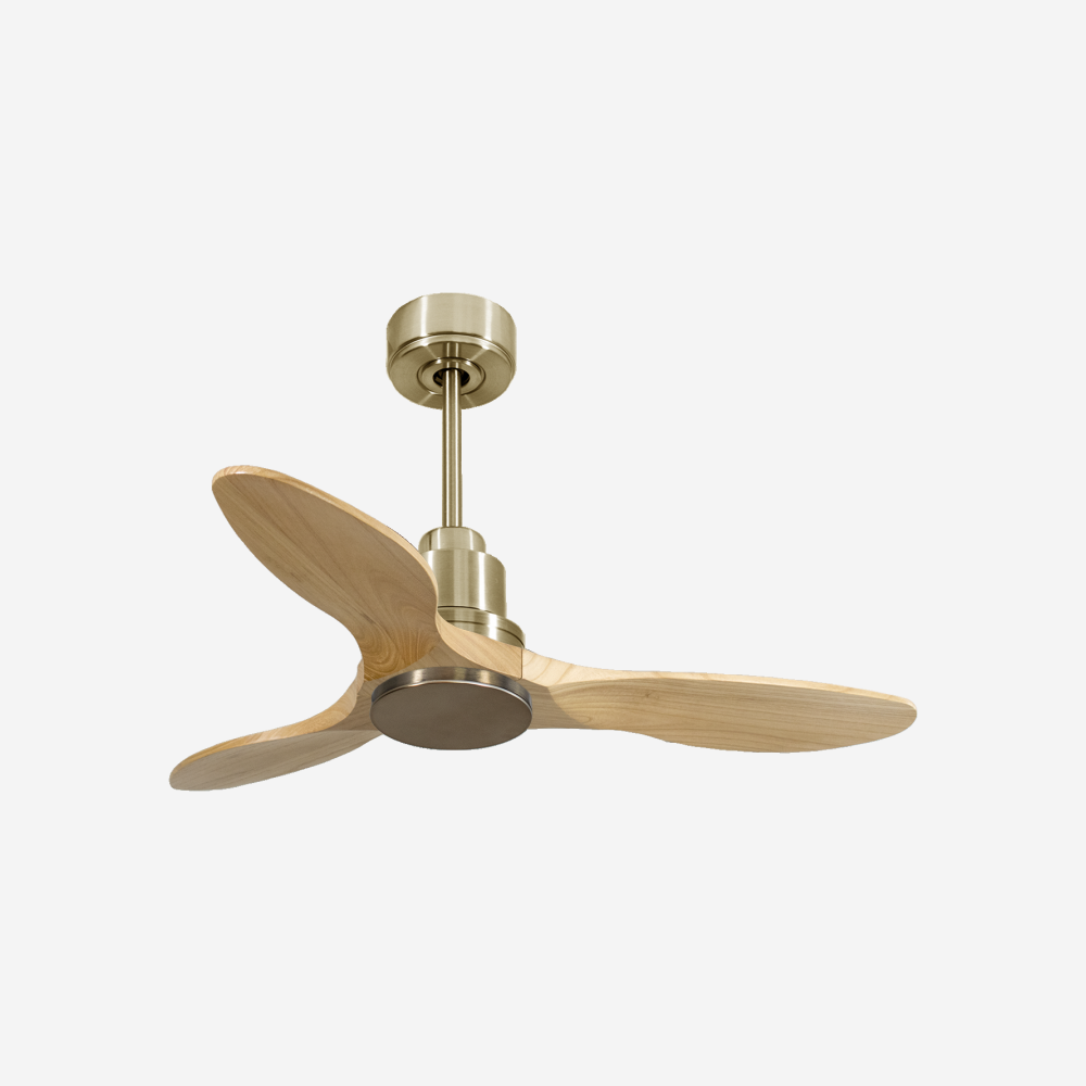 Ventilatore da soffitto Reversibile Termostato Wifi Motore CC Tetti inclinati Telecomando Hypersilence Memoria