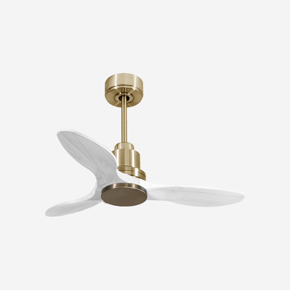 Ventilatore da soffitto Wifi Motore CC Telecomando Hypersilence Memoria