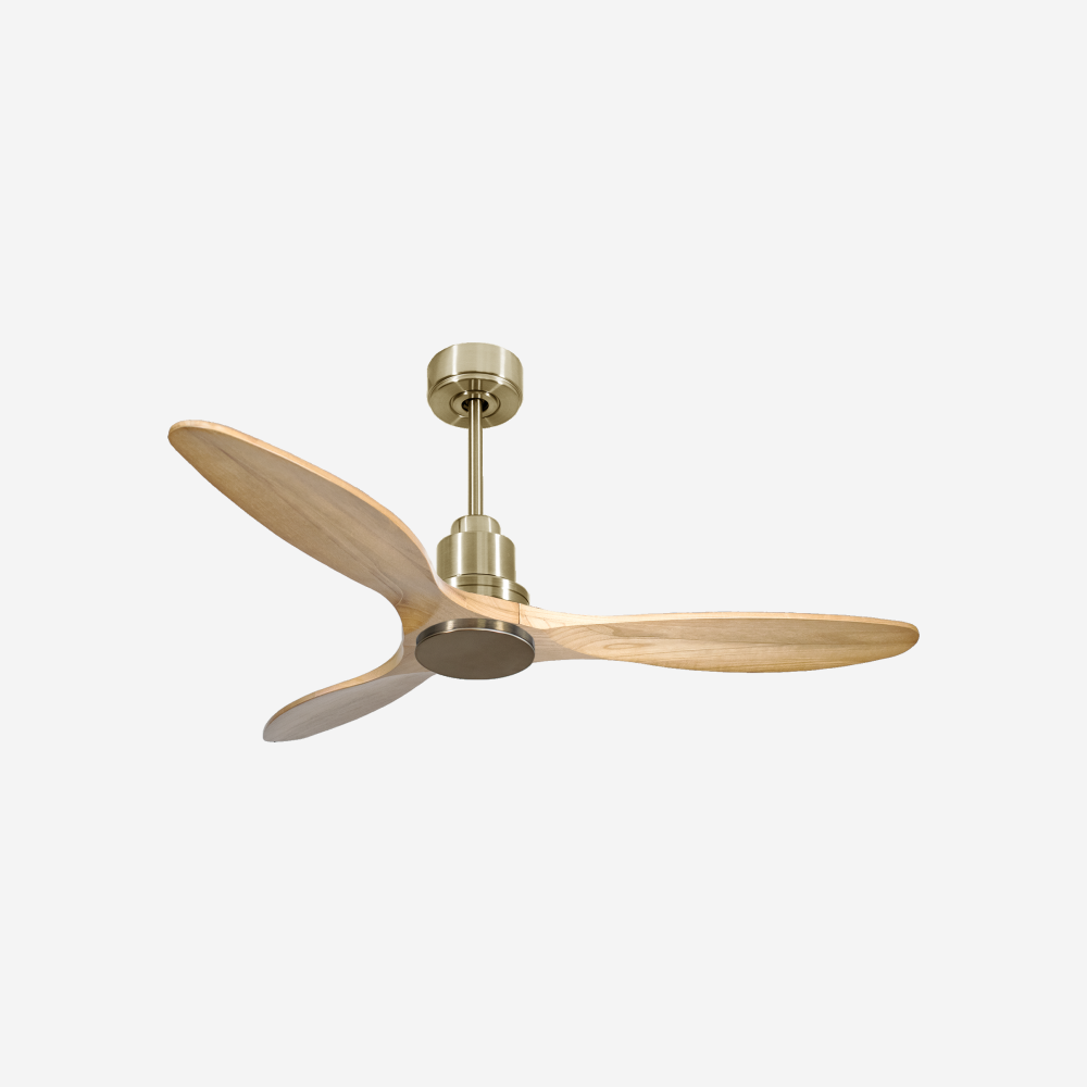 Ventilatore da soffitto Reversibile Termostato Wifi Motore CC Tetti inclinati Telecomando Hypersilence Memoria