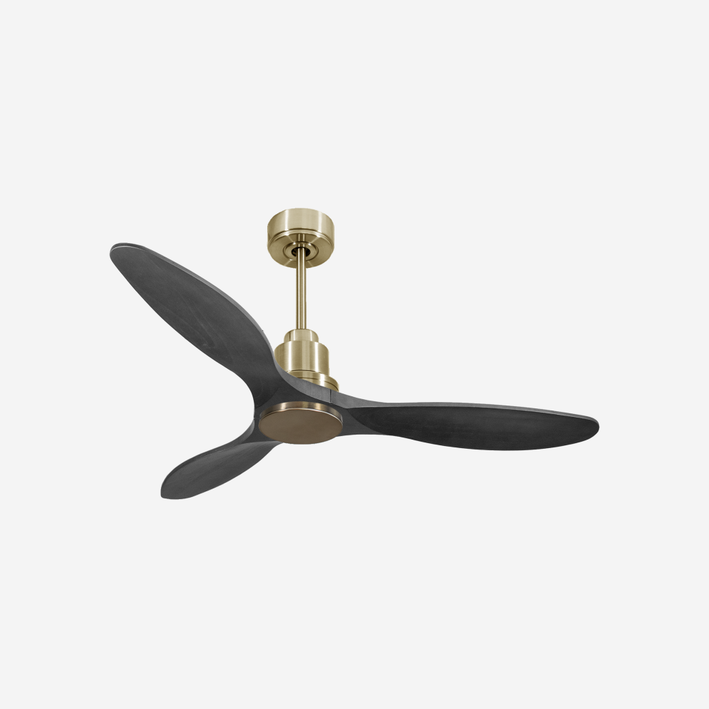 Ventilatore da soffitto Reversibile Termostato Wifi Motore CC Tetti inclinati Telecomando Hypersilence Memoria