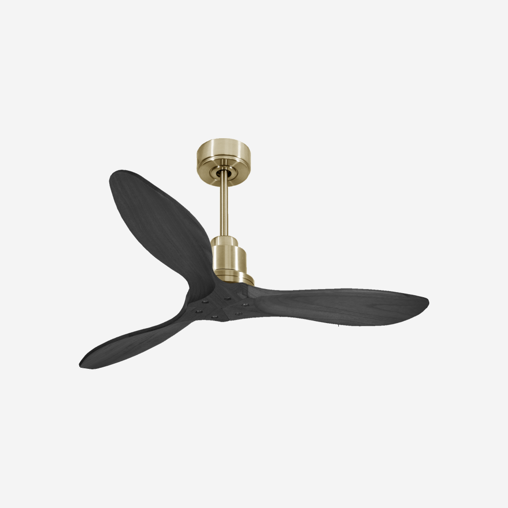 Ventilatore da soffitto Reversibile Termostato Wifi Motore CC Tetti inclinati Telecomando Hypersilence Memoria FullWood