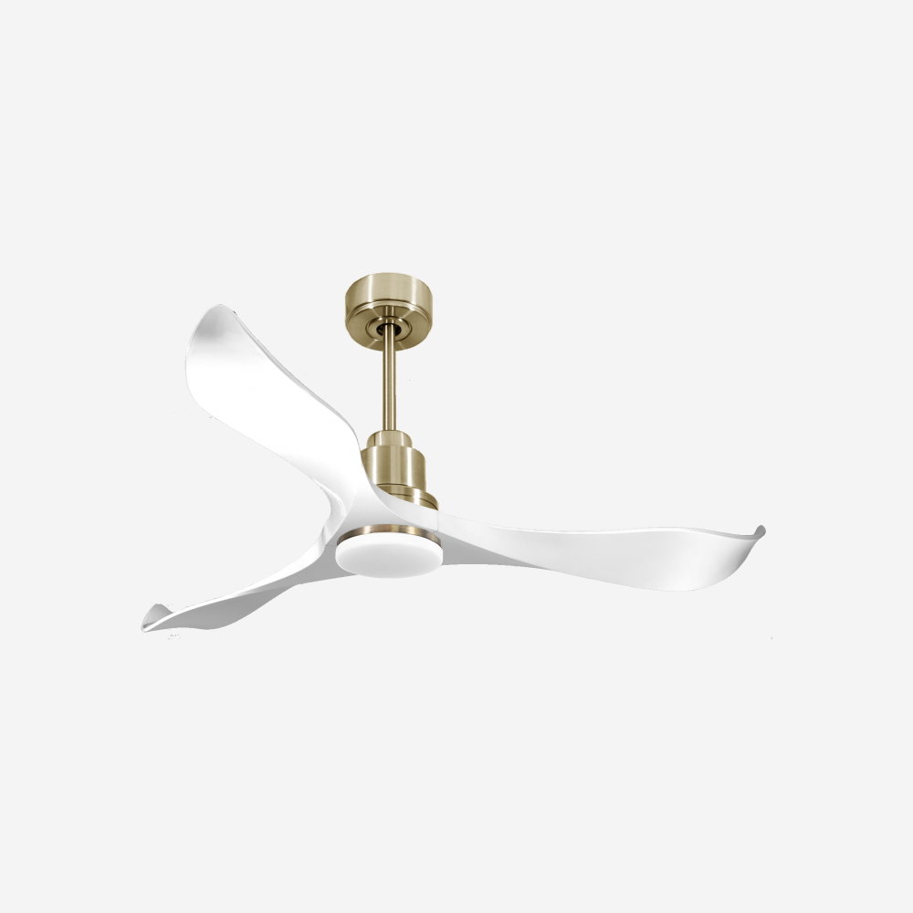 Ventilatore da soffitto Reversibile Termostato Dimmabile Wifi Motore CC Tetti inclinati Telecomando Luce a tre toni Adattatore 2/3 lame Hypersilence Memoria