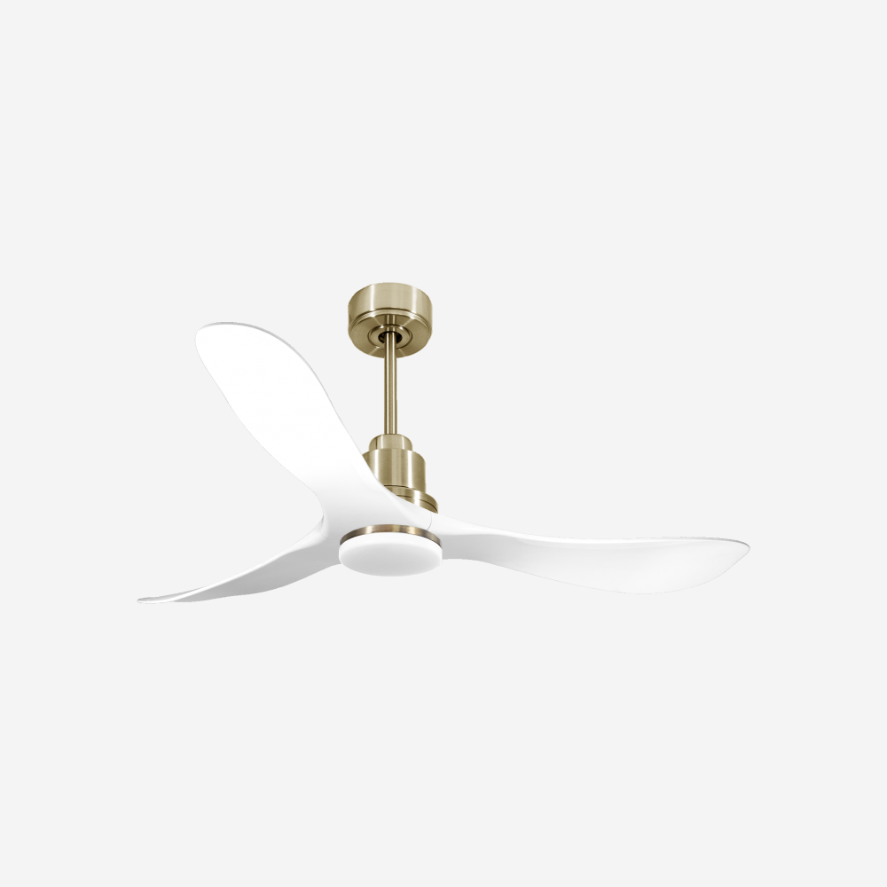 Ventilatore da soffitto Reversibile Termostato Dimmabile Wifi Motore CC Tetti inclinati Telecomando Luce a tre toni Hypersilence Memoria