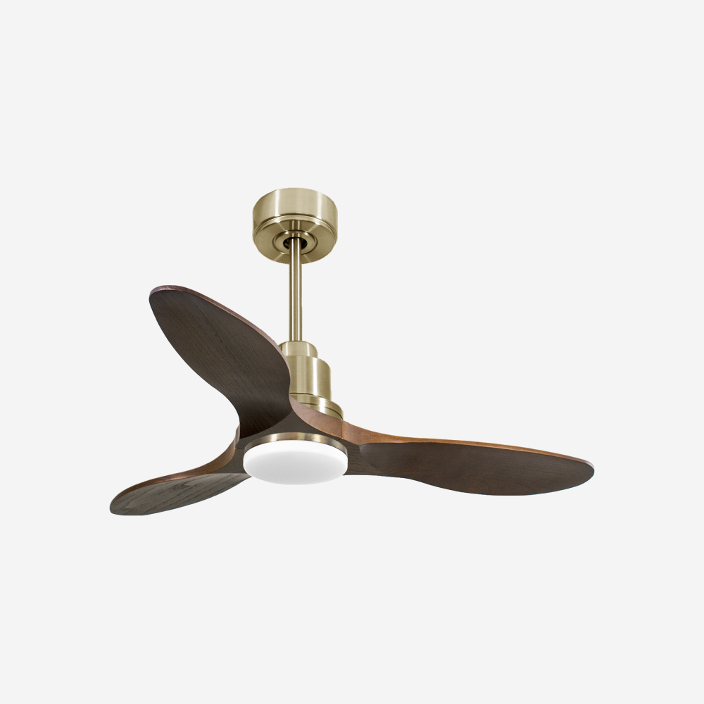 Ventilatore da soffitto Reversibile Termostato Dimmabile Wifi Motore CC Tetti inclinati Telecomando Luce a tre toni Hypersilence Memoria