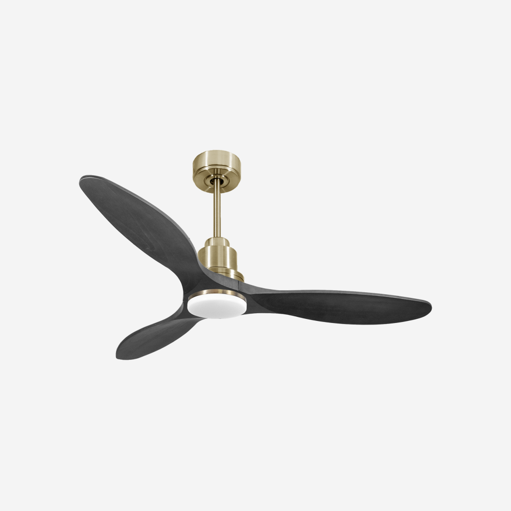 Ventilatore da soffitto Reversibile Termostato Dimmabile Wifi Motore CC Tetti inclinati Telecomando Luce a tre toni Hypersilence Memoria