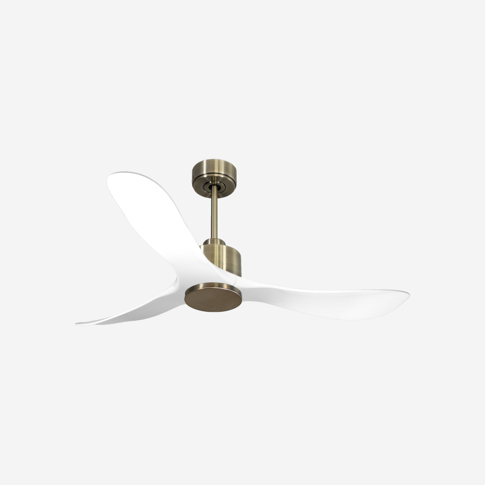 Ventilatore da soffitto Reversibile Termostato Wifi Motore CC Tetti inclinati Telecomando Hypersilence Memoria