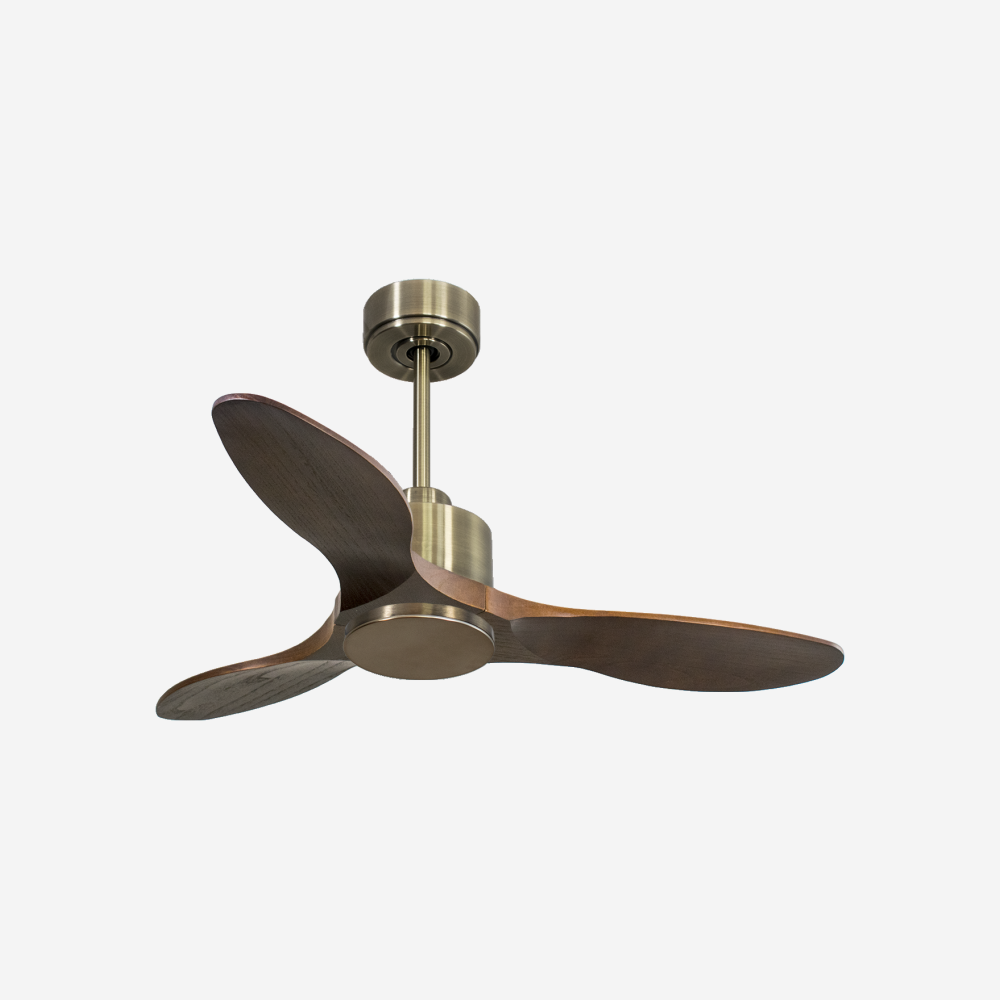 Ventilatore da soffitto Reversibile Termostato Wifi Motore CC Tetti inclinati Telecomando Hypersilence Memoria