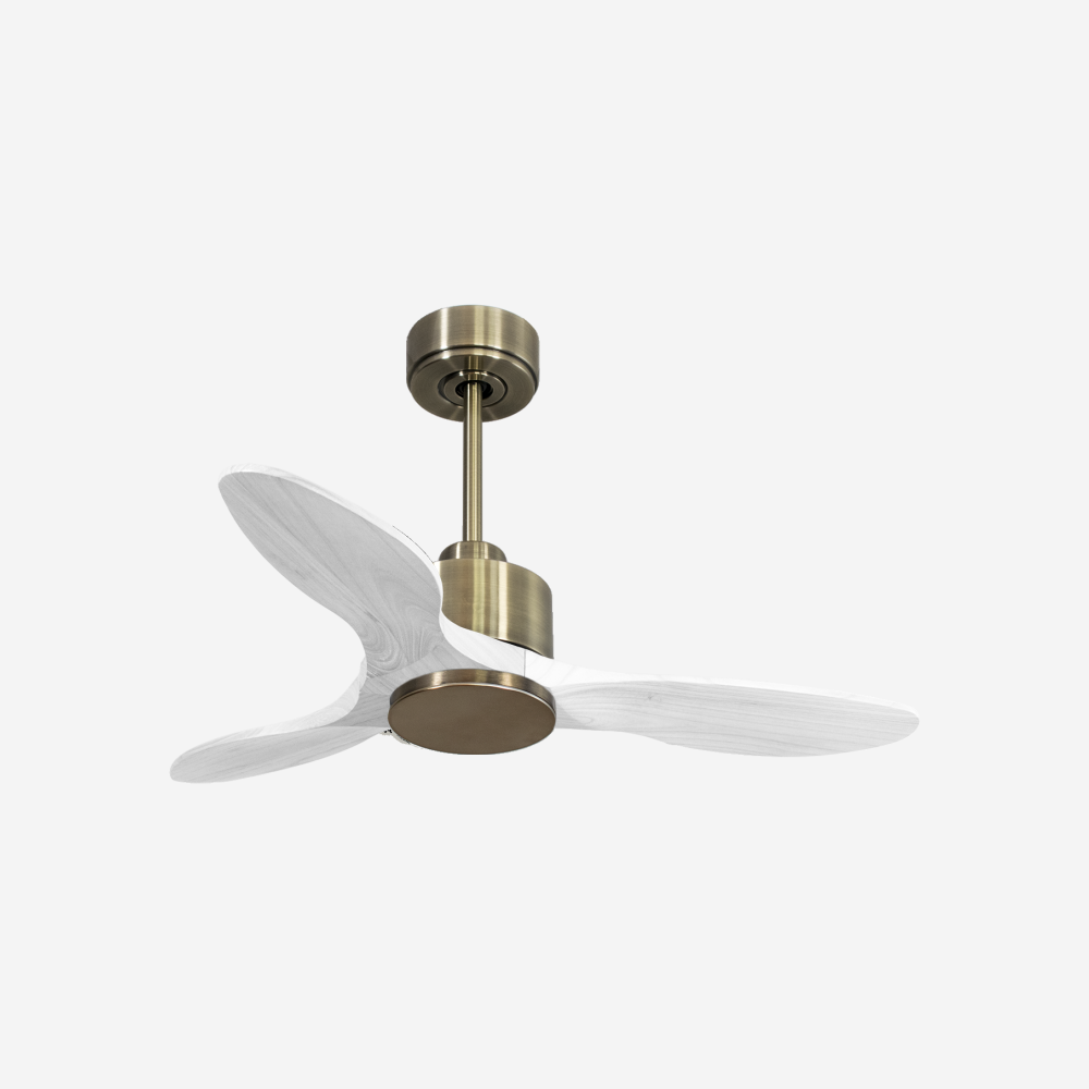 Ventilatore da soffitto Wifi Motore CC Telecomando Hypersilence Memoria