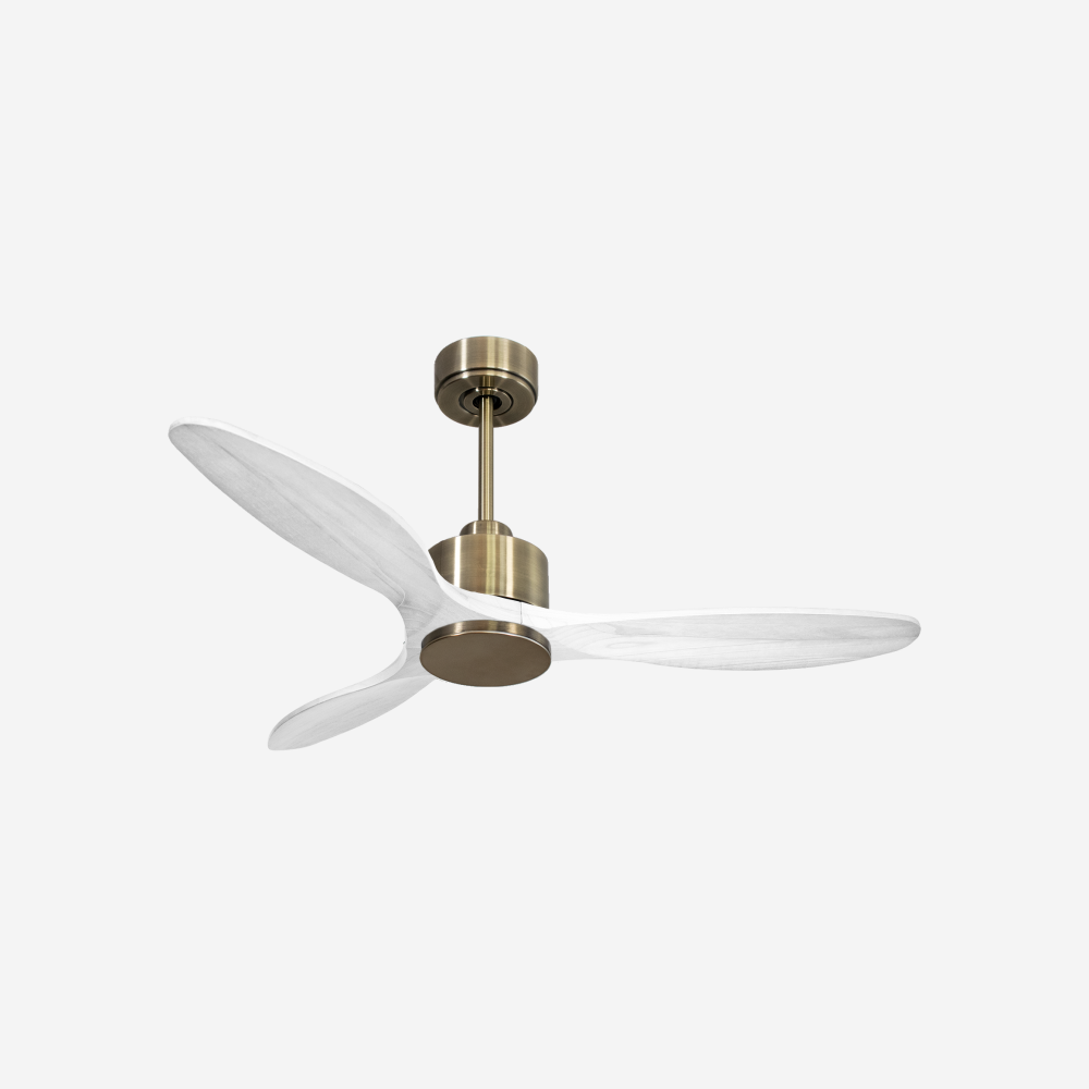 Ventilatore da soffitto Reversibile Termostato Wifi Motore CC Tetti inclinati Telecomando Hypersilence Memoria