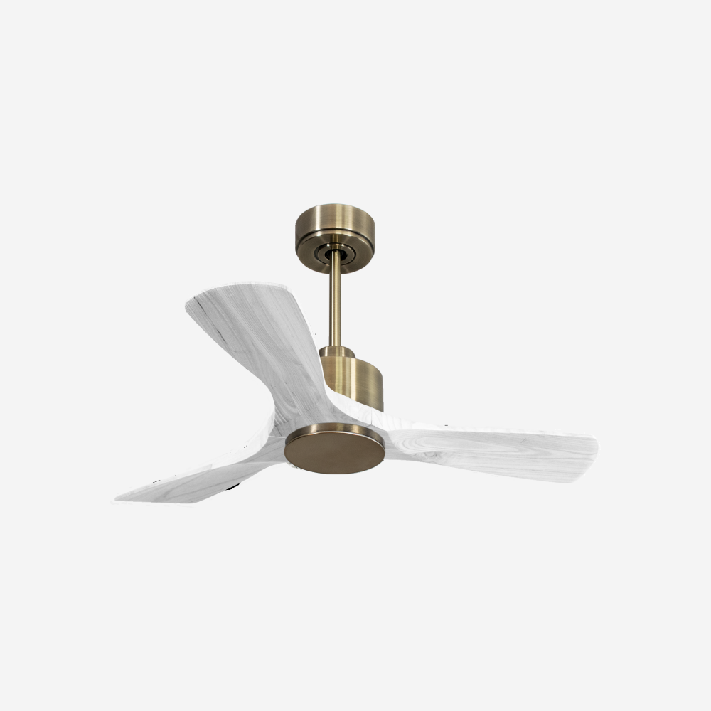 Ventilatore da soffitto Wifi Motore CC Telecomando Hypersilence Memoria