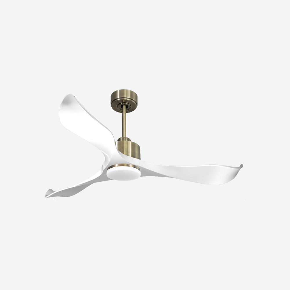 Ventilatore da soffitto Reversibile Termostato Dimmabile Wifi Motore CC Tetti inclinati Telecomando Luce a tre toni Adattatore 2/3 lame Hypersilence Memoria
