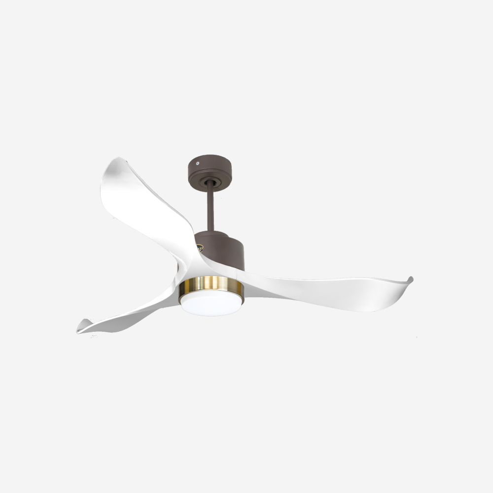 Ventilateur de plafond ultra silencieux et à faible consommation DC VirginD132C02LED65412