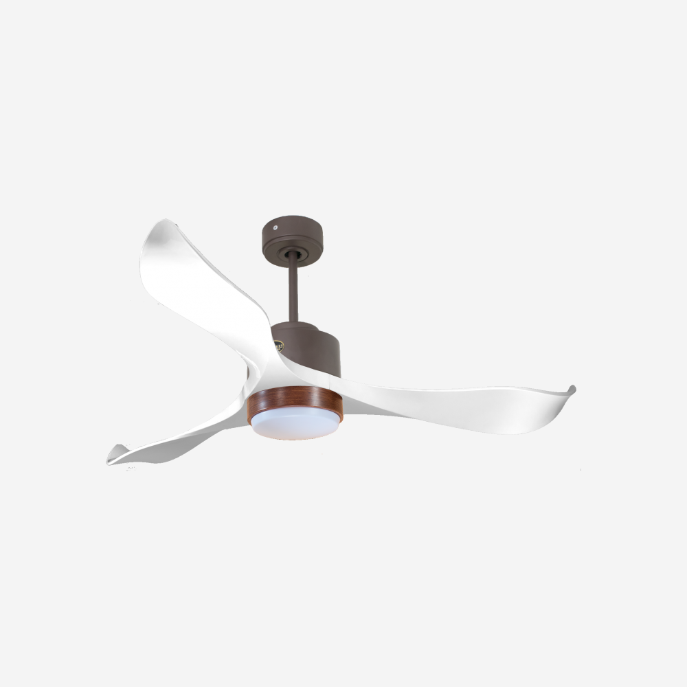 Ventilateur de plafond ultra silencieux et à faible consommation DC VirginD132C02LED65414