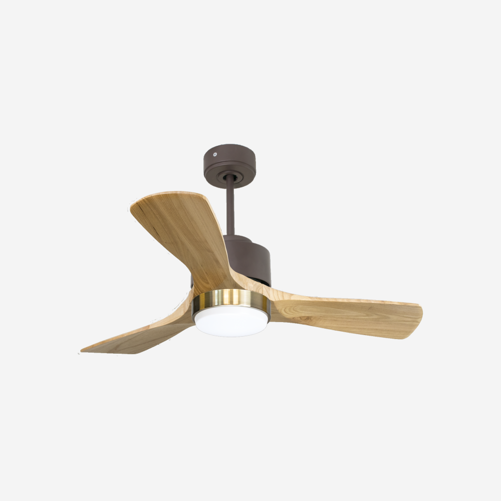 Ventilateur de plafond ultra silencieux et à faible consommation DC RarotongaD106C02LED65591