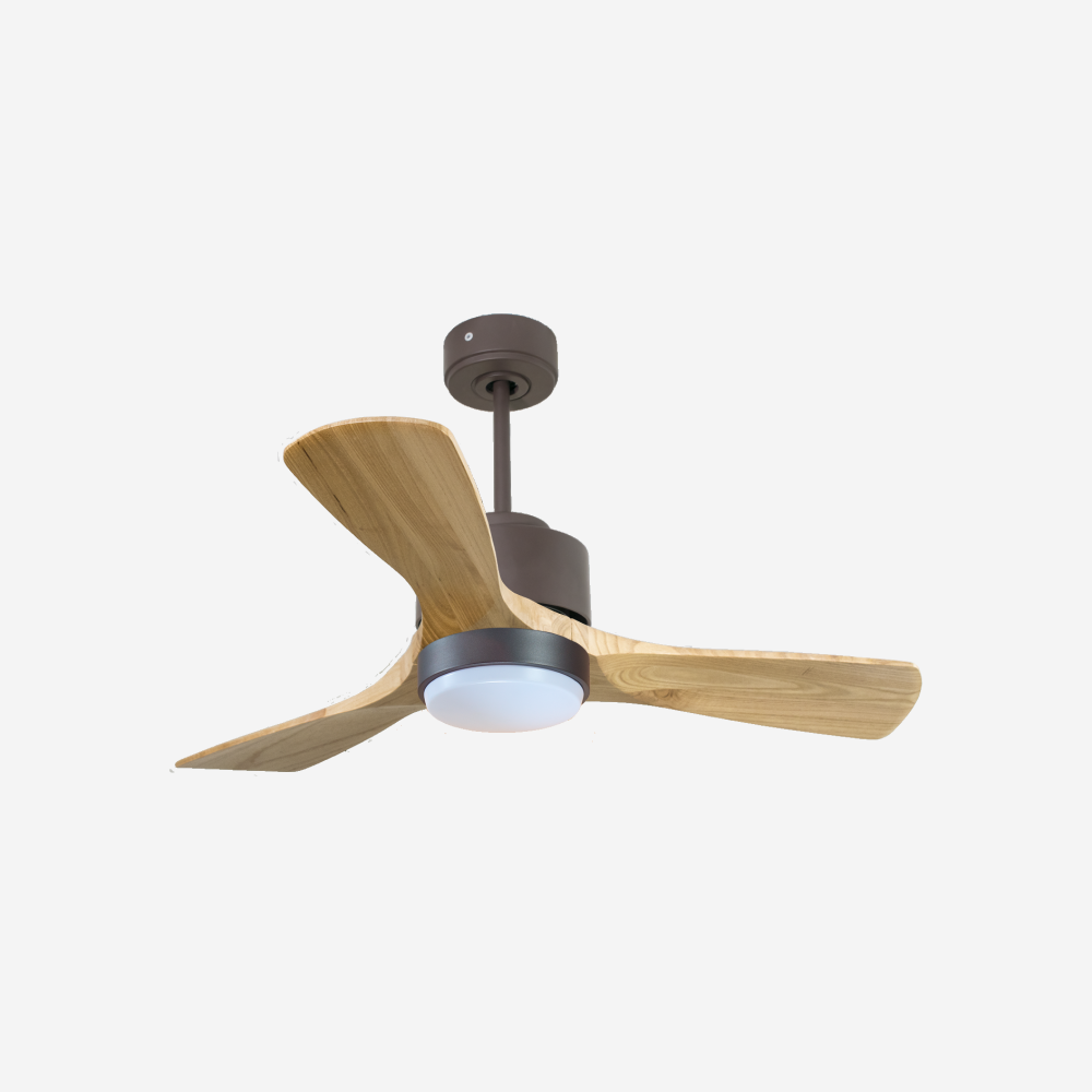 Ventilateur de plafond ultra silencieux et à faible consommation DC RarotongaD106C02LED65592
