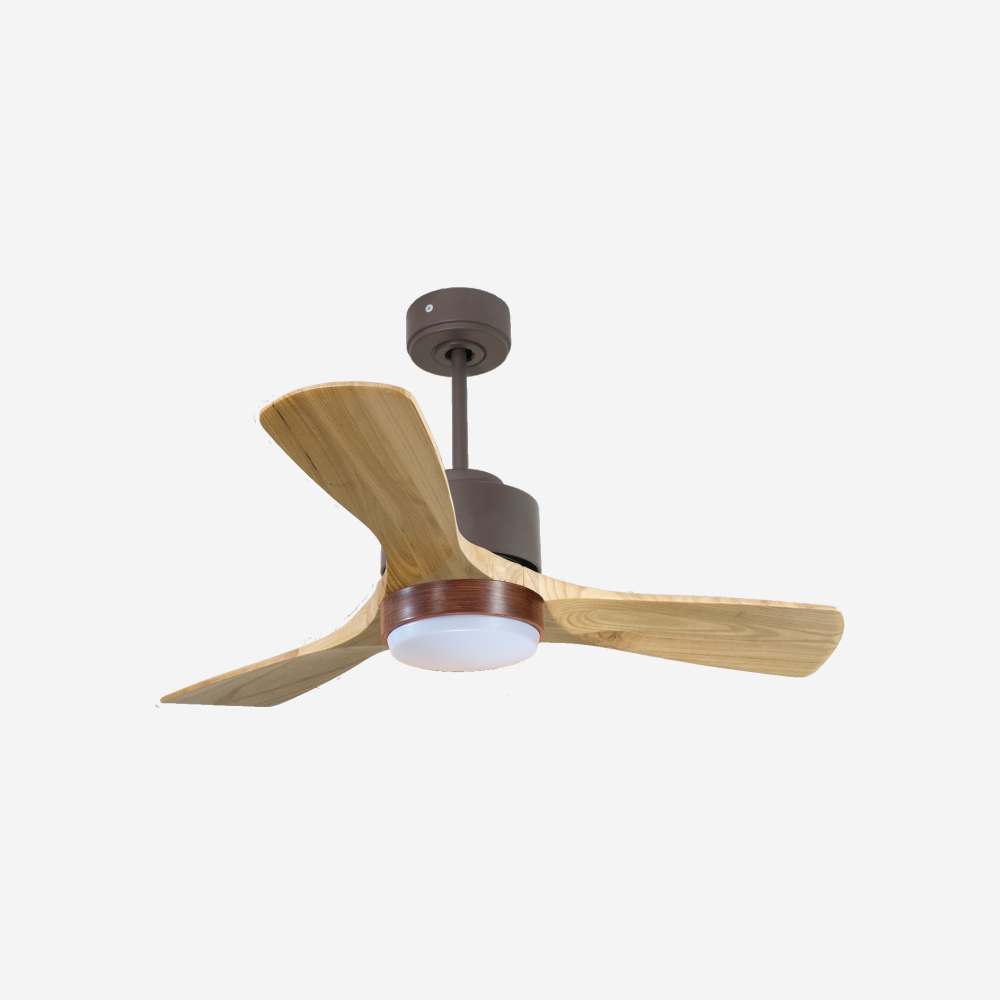 Ventilateur de plafond ultra silencieux et à faible consommation DC RarotongaD106C02LED67234