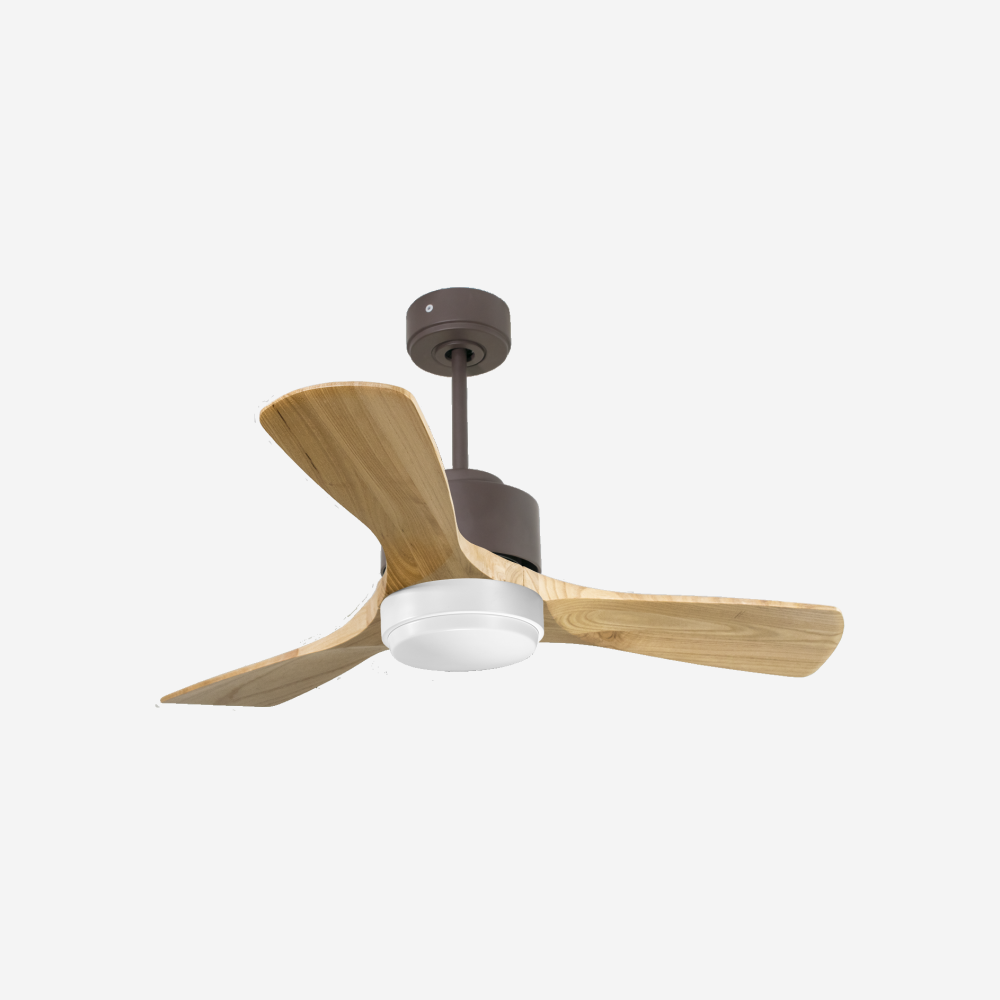Ventilateur de plafond ultra silencieux et à faible consommation DC RarotongaD106C02LED65594