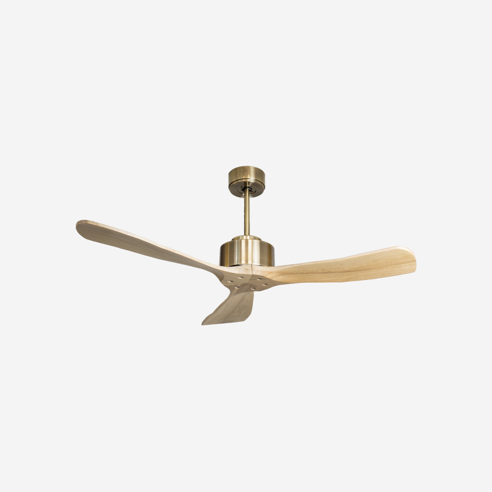 Ventilateur de plafond ultra silencieux et à faible consommation DC GuanajaD106C0265676