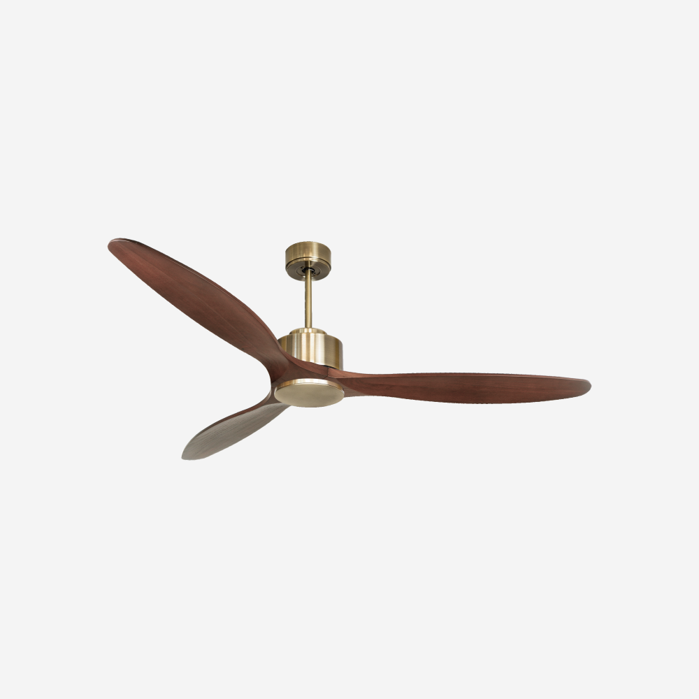 Ventilatore da soffitto Wifi Motore CC Telecomando Hypersilence Memoria
