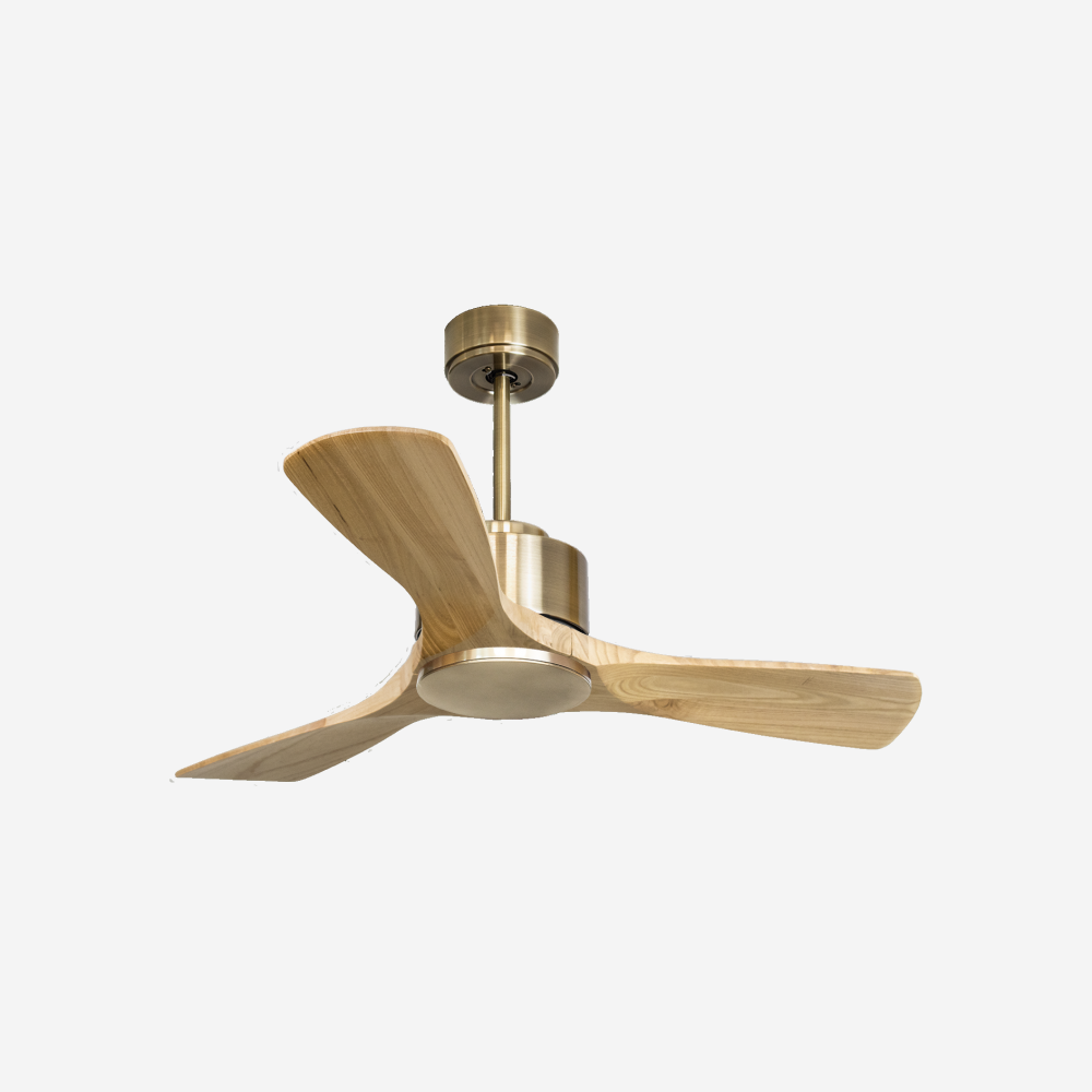 Ventilateur de plafond ultra silencieux et à faible consommation DC RarotongaD106C0265706