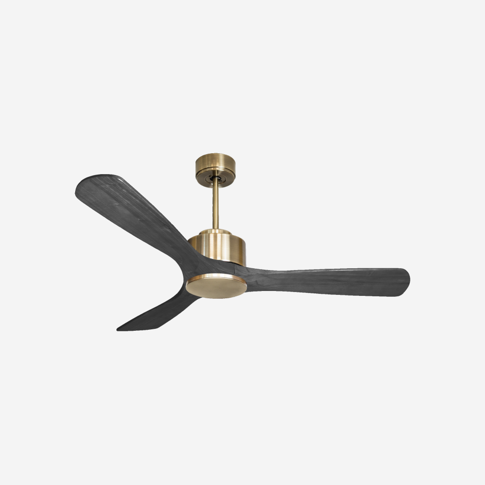 Ventilatore a soffitto ultra silenzioso e a basso consumo DC PaxosD132C0265711