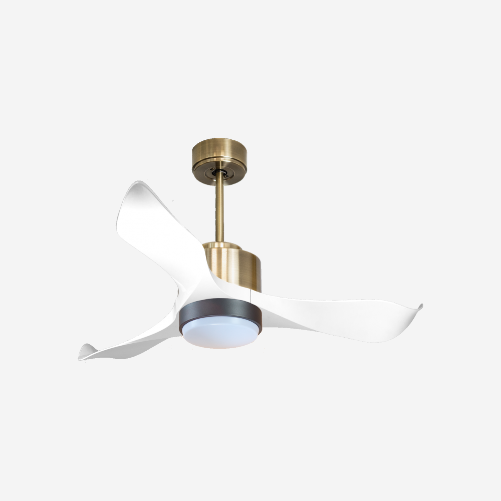 Ventilateur de plafond ultra silencieux et à faible consommation DC WhitsundayD106C02LED65765
