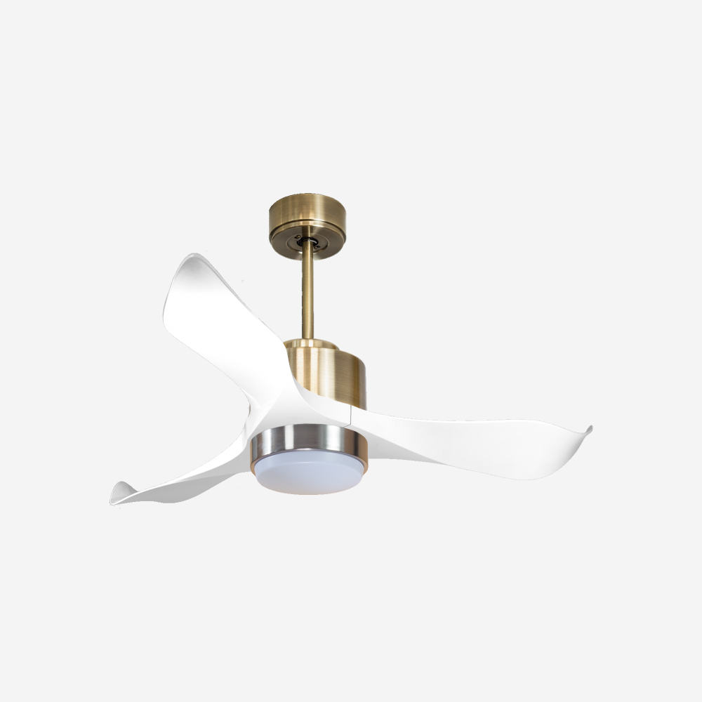 Ventilatore a soffitto ultra silenzioso e a basso consumo DC WhitsundayD106C02LED67918