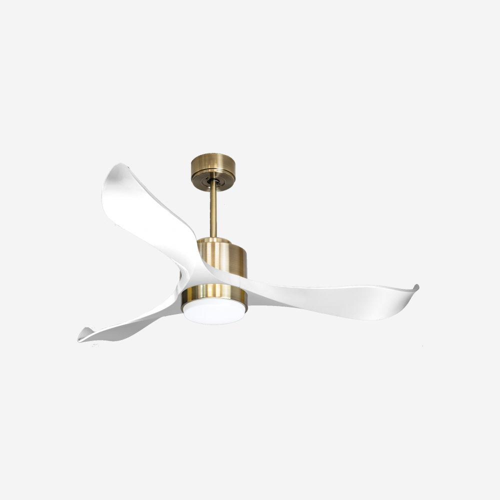 Ventilateur de plafond ultra silencieux et à faible consommation DC VirginD132C02LED65787