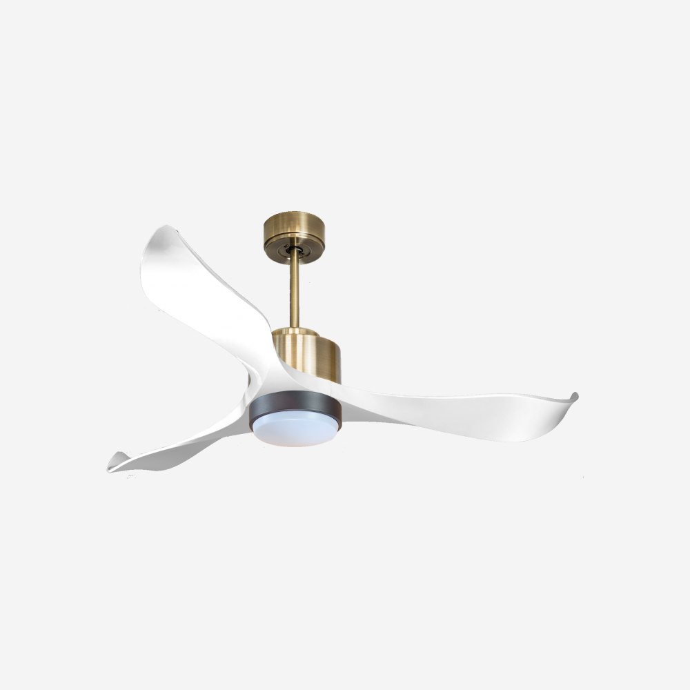 Ventilateur de plafond ultra silencieux et à faible consommation DC VirginD132C02LED65788