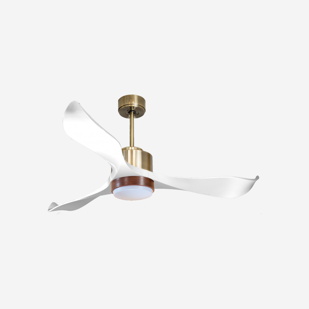 Ventilateur de plafond ultra silencieux et à faible consommation DC VirginD132C02LED65789