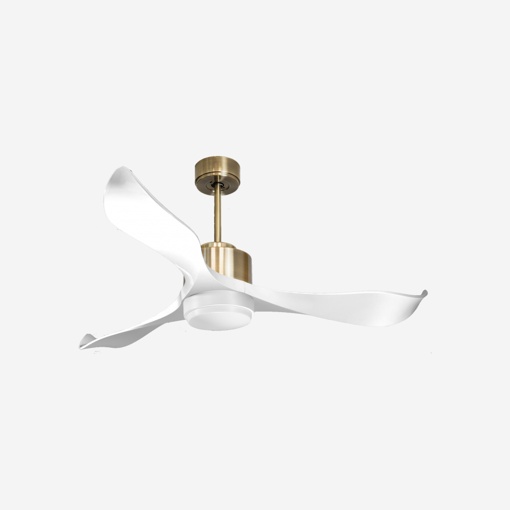 Ventilateur de plafond ultra silencieux et à faible consommation DC VirginD132C02LED67922