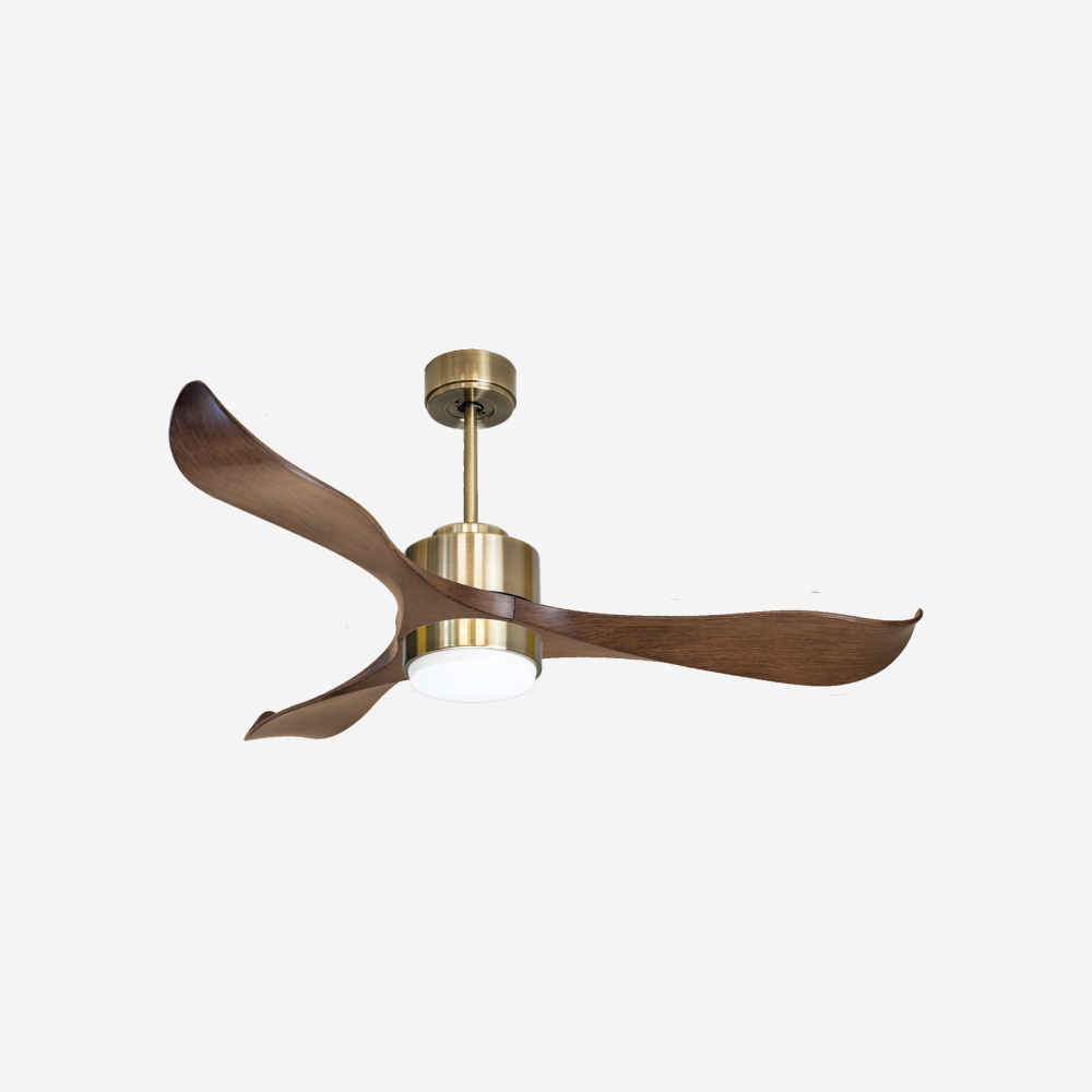 Ventilatore a soffitto ultra silenzioso e a basso consumo DC ZanzibarD132C02LED65803