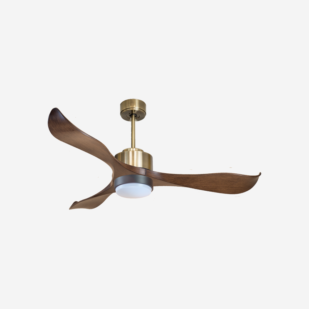 Ventilatore a soffitto ultra silenzioso e a basso consumo DC ZanzibarD132C02LED67924