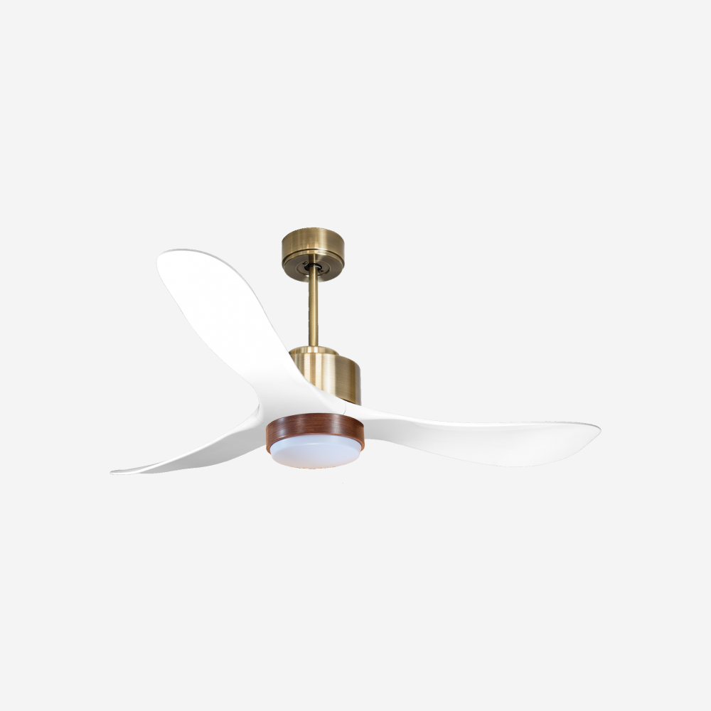 Ventilateur de plafond ultra silencieux et à faible consommation DC TongaD132C02LED65818