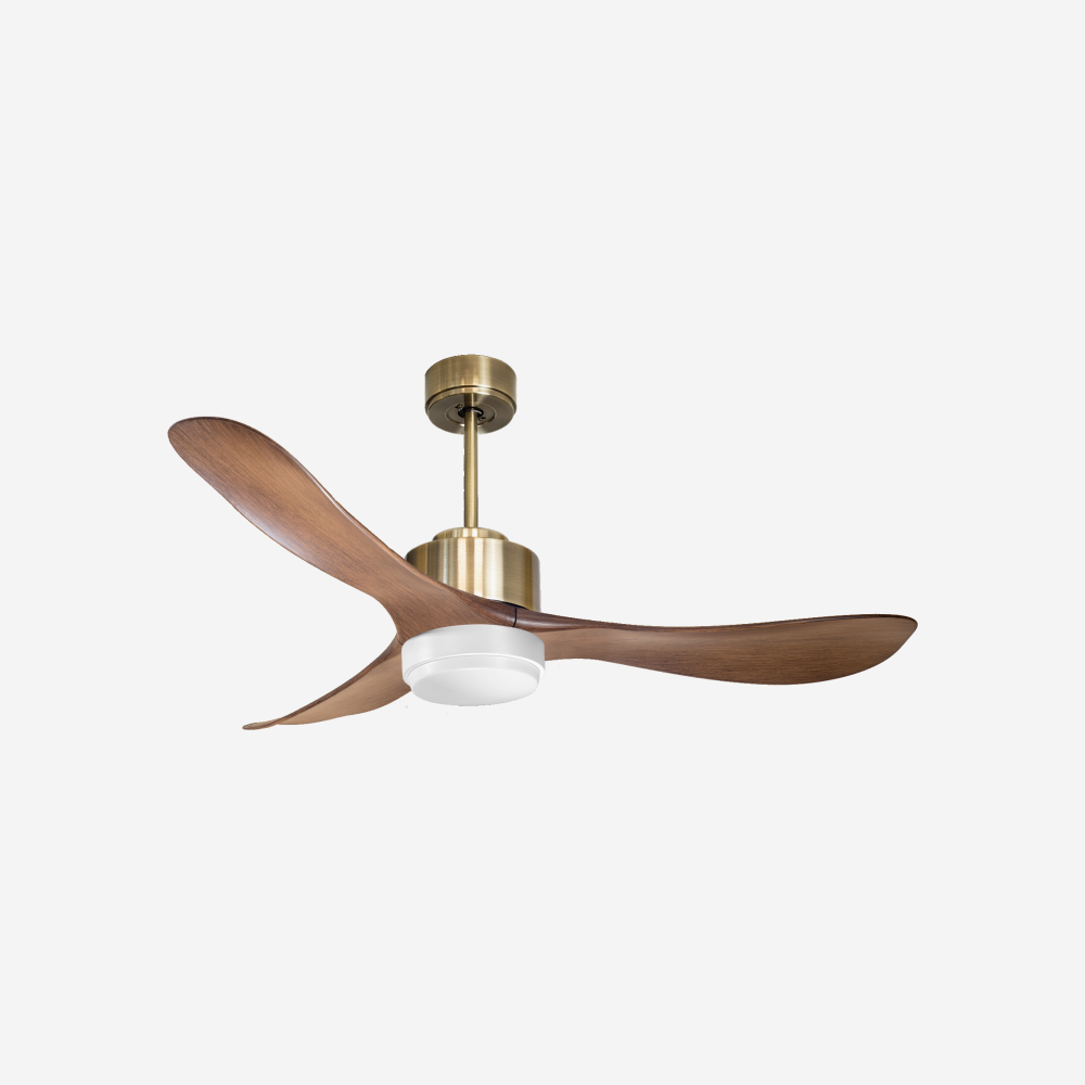 Ventilateur de plafond ultra silencieux et à faible consommation DC TogianD132C02LED68019