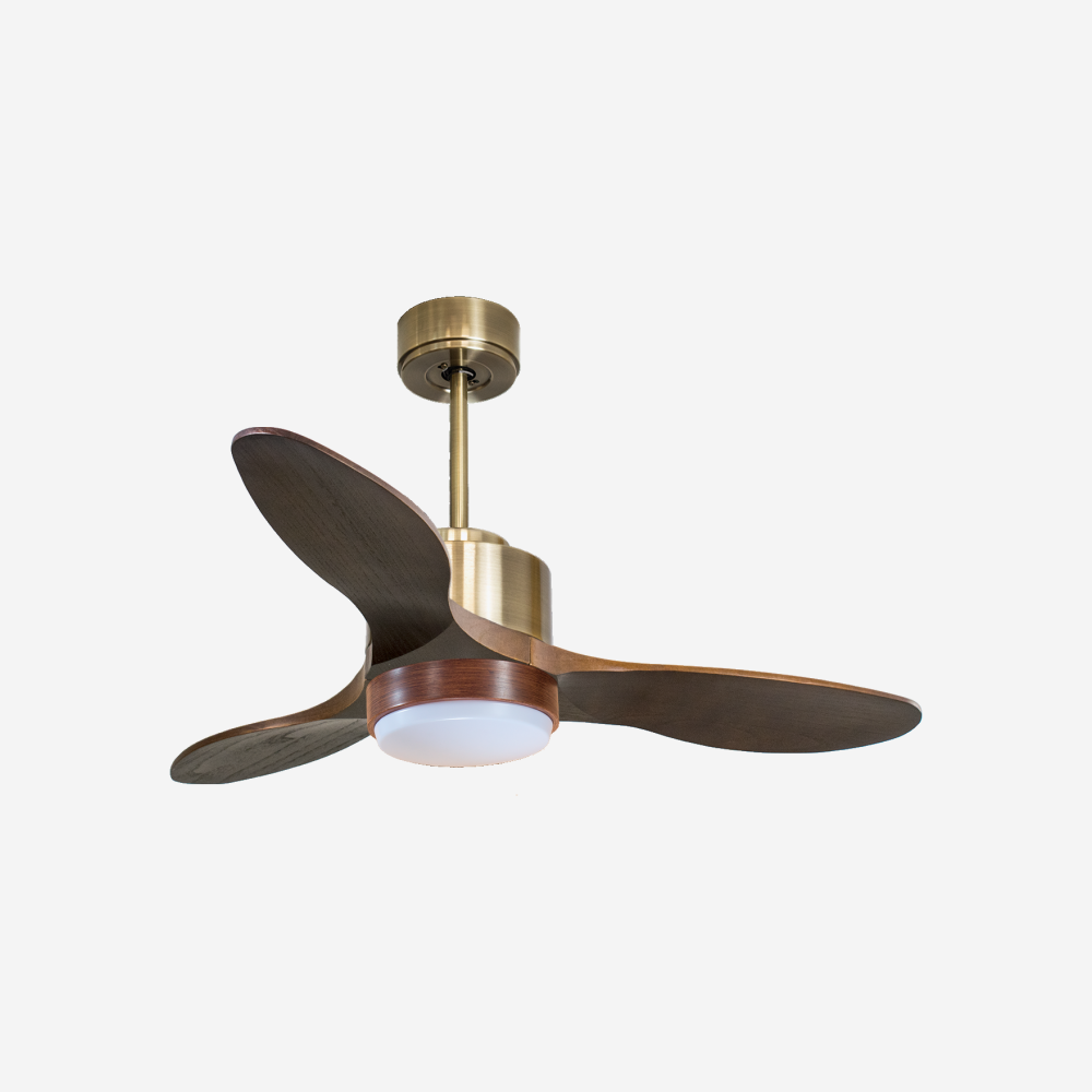 Ventilateur de plafond ultra silencieux et à faible consommation DC SombreroD106C02LED65870