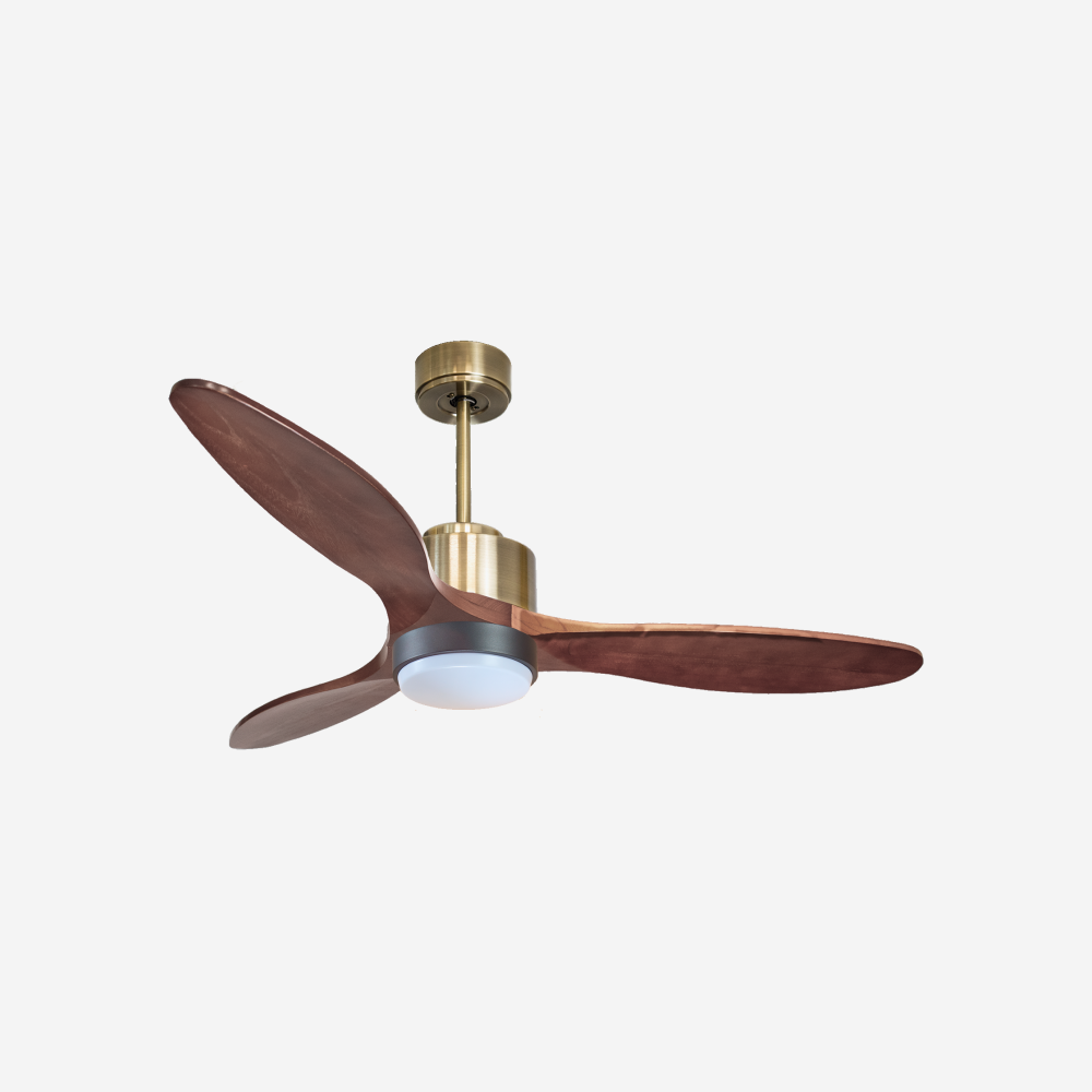 Ventilatore da soffitto