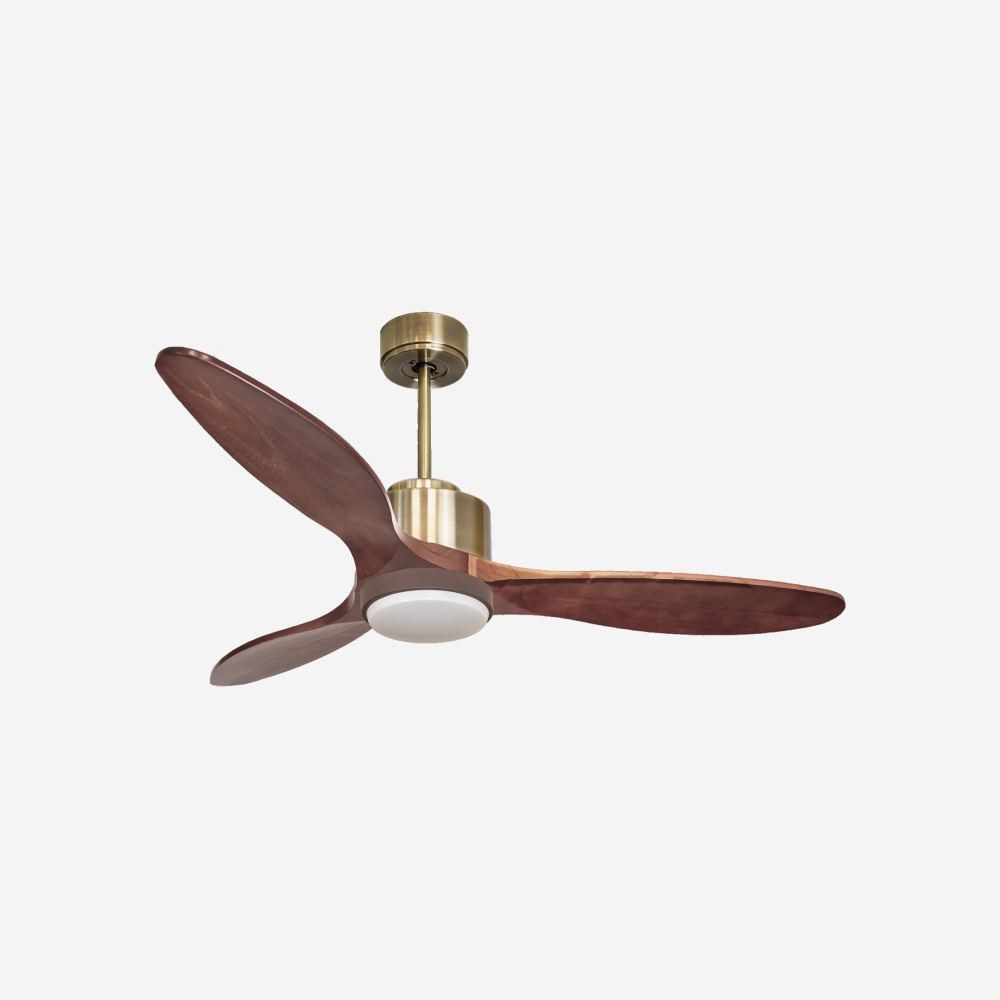 Ventilatore da soffitto Wifi Motore CC Telecomando Luce a tre toni Hypersilence Memoria