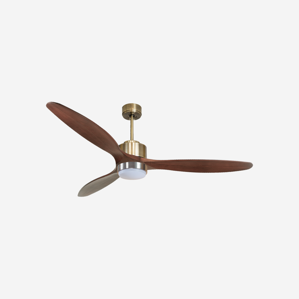 Ventilatore da soffitto
