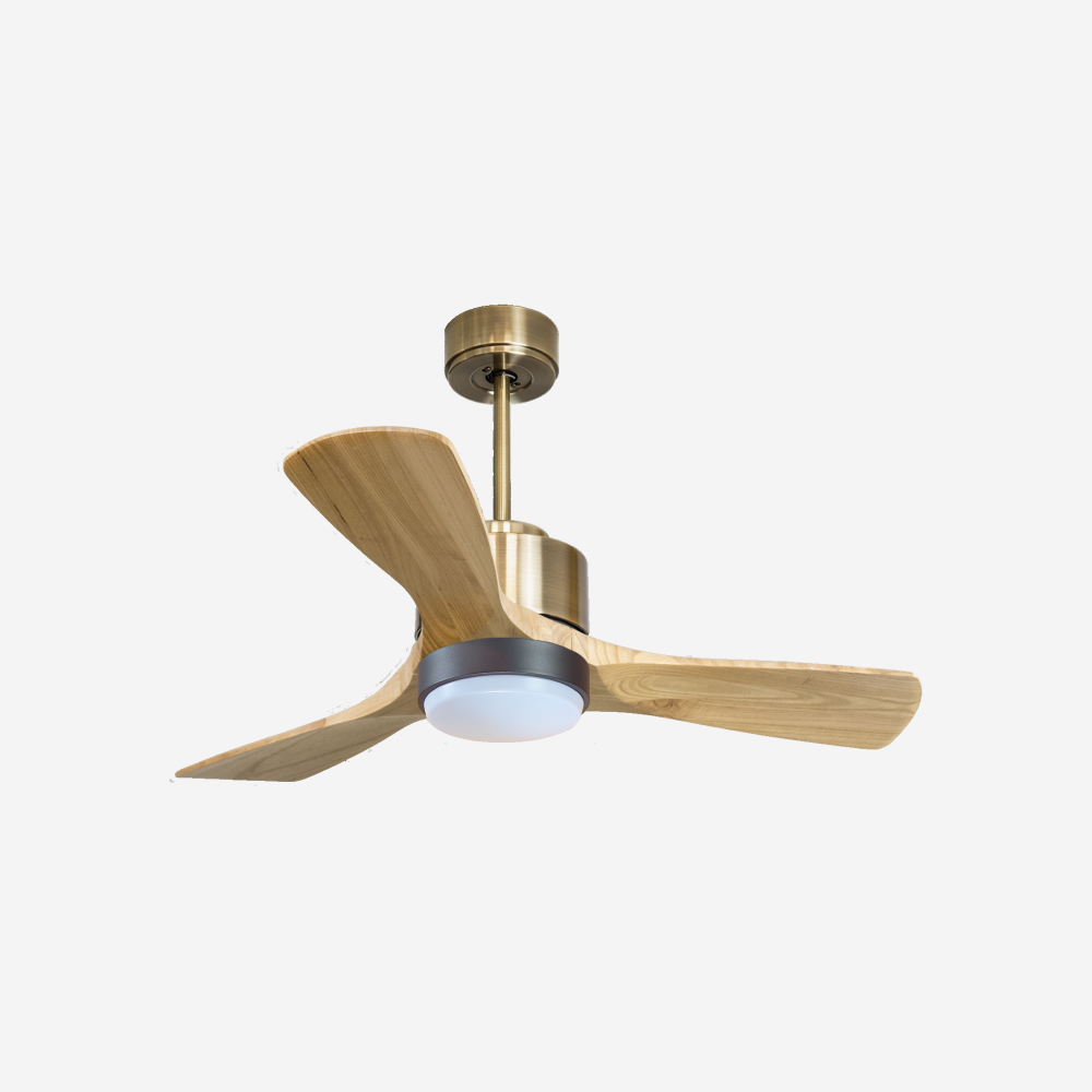 Ventilateur de plafond ultra silencieux et à faible consommation DC RarotongaD106C02LED65938