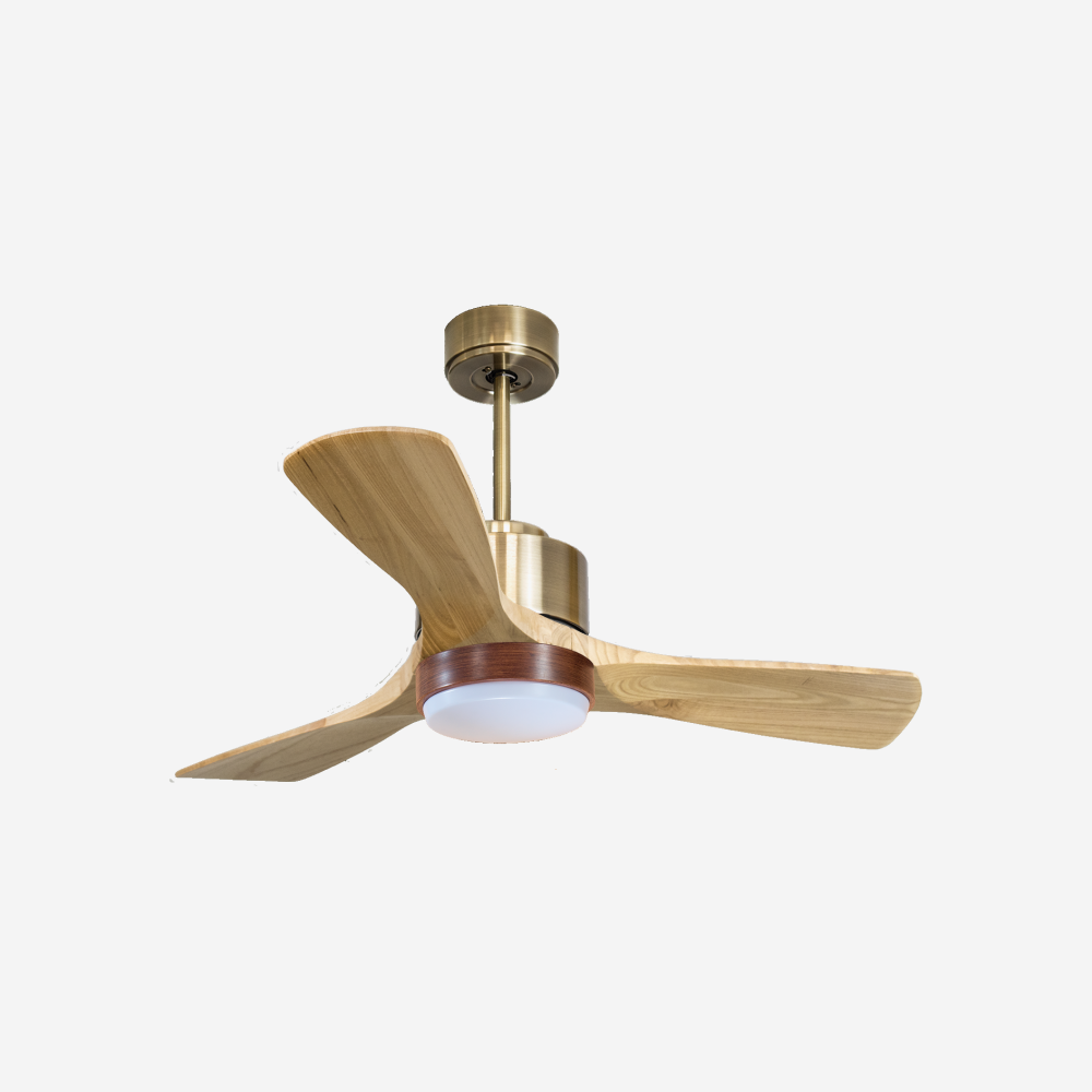 Ventilateur de plafond ultra silencieux et à faible consommation DC RarotongaD106C02LED65939