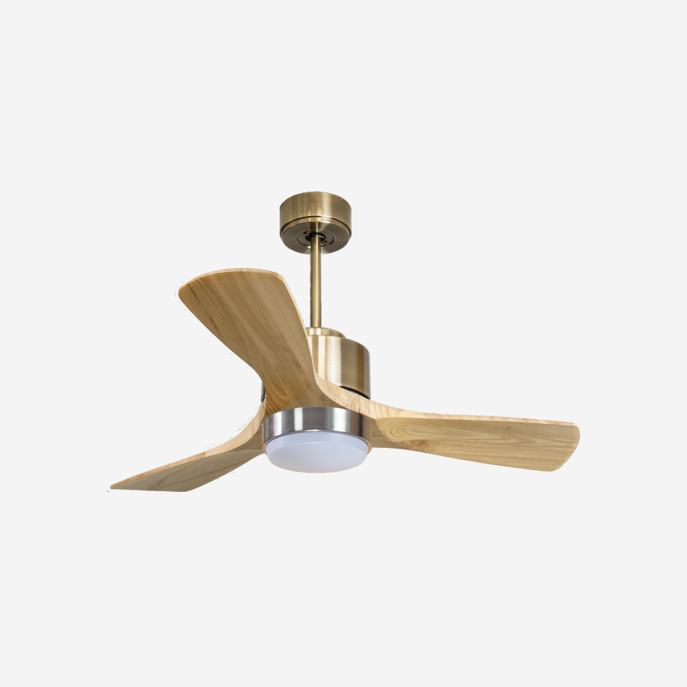 Ventilateur de plafond ultra silencieux et à faible consommation DC RarotongaD106C02LED65940
