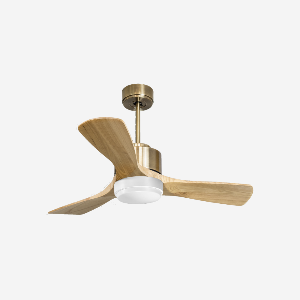 Ventilateur de plafond ultra silencieux et à faible consommation DC RarotongaD106C02LED65941