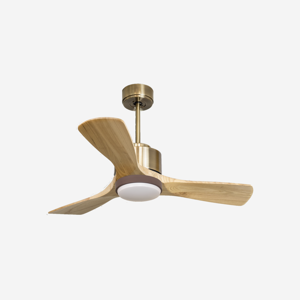 Ventilateur de plafond ultra silencieux et à faible consommation DC RarotongaD106C02LED65942
