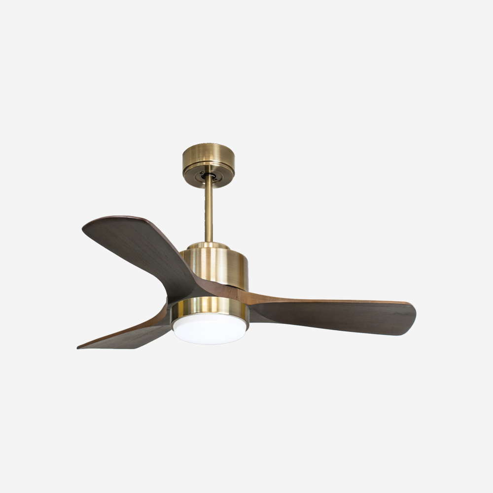 Ventilateur de plafond ultra silencieux et à faible consommation DC PrincipeD106C02LED68842