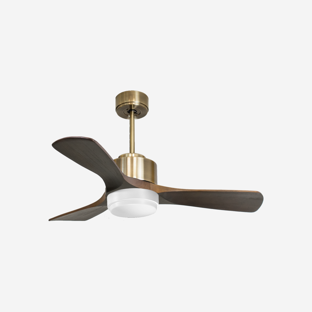 Ventilateur de plafond ultra silencieux et à faible consommation DC PrincipeD106C02LED68849