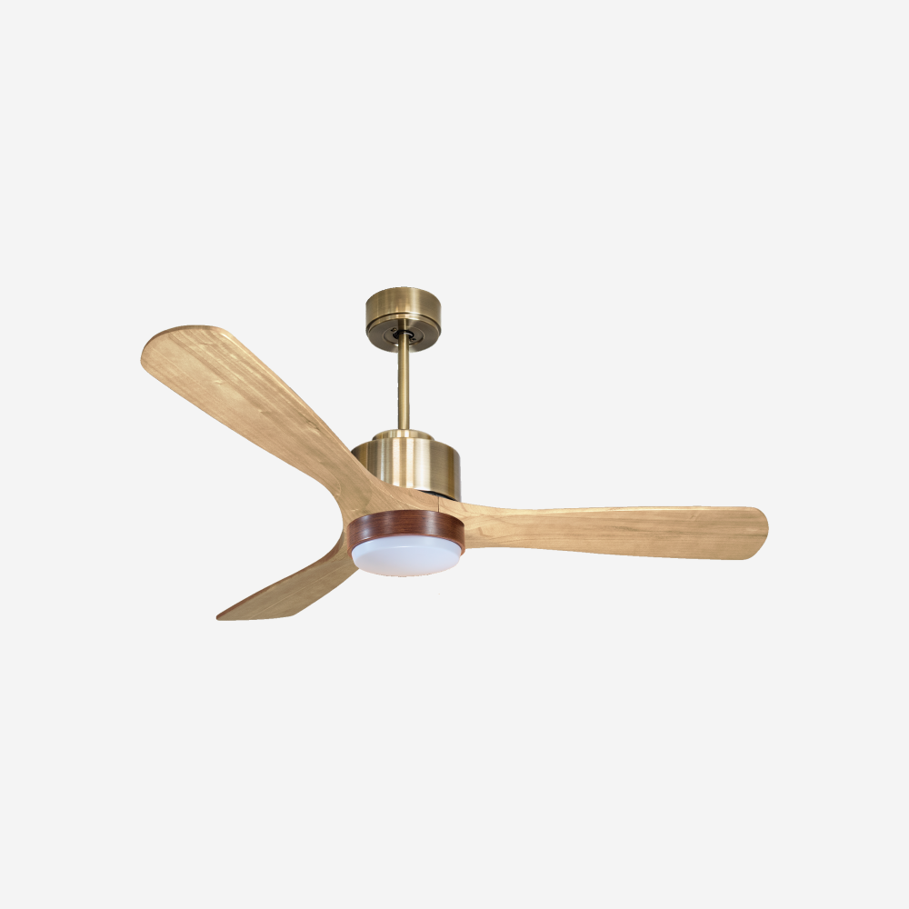 Ventilateur de plafond ultra silencieux et à faible consommation DC ParosD132C02LED65958