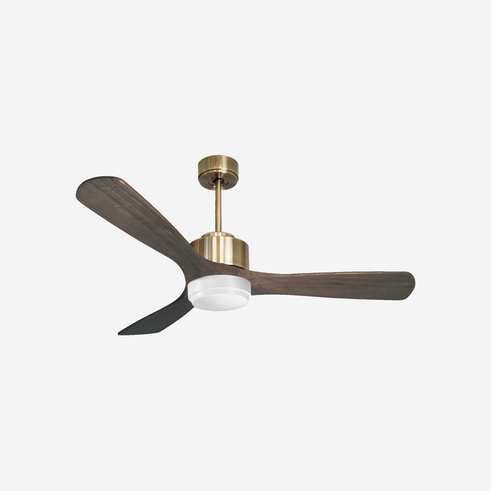 Ventilateur de plafond ultra silencieux et à faible consommation DC MoyoD132C02LED65966