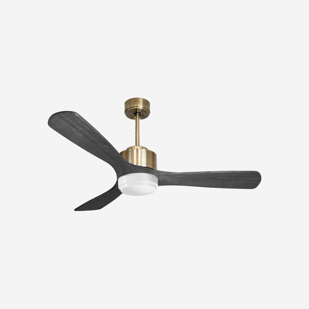 Ventilateur de plafond ultra silencieux et à faible consommation DC PaxosD132C02LED65979
